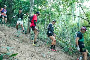 BIB: 
                            <button type="button" onclick="openModal(28160688)" class="btn btn-primary btn-sm float-right btn-popup" data-toggle="modal" data-target=".modal-high-quality">
                        <i class="fas fa-shopping-cart"></i> Add to Cart
                    </button>
                                            <button type="button" onclick="isThisMe(28160688, true)" class="btn btn-success btn-sm float-right btn-popup btn-isme hidden" data-toggle="tooltip" data-placement="bottom" title="นี่คือรูปของคุณใช่ไหม คลิกที่นี่เพื่อเอาเข้าอัลบั้ม">
                        <i class="fas fa-plus"></i> Add to album
                    </button>
                    <button type="button" onclick="isThisMe(28160688, false)" class="btn btn-warning btn-sm float-right btn-popup btn-isnotme hidden">
                        <i class="fas fa-ban"></i> Remove from album
                    </button>